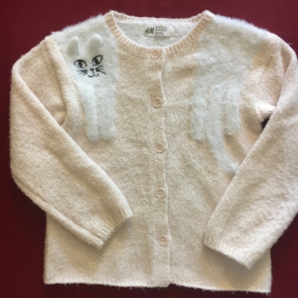 ⭐️Girls absolutely adorable H&M sweater.